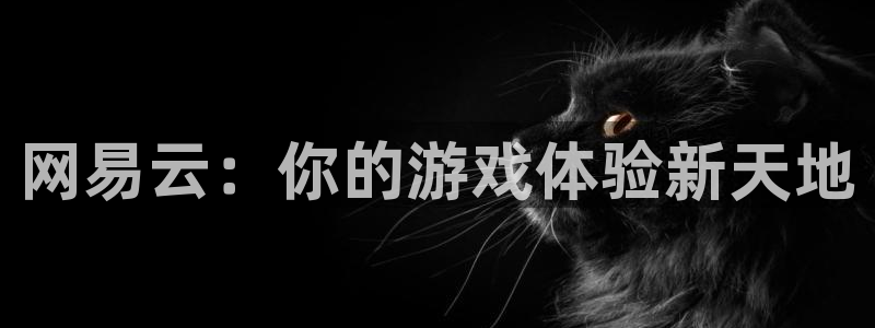 小艾电竞平台官方网站下载